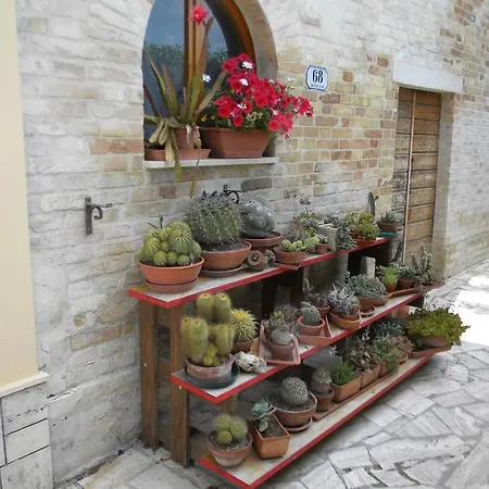 La Casa Di Lucy Bed & Breakfast *