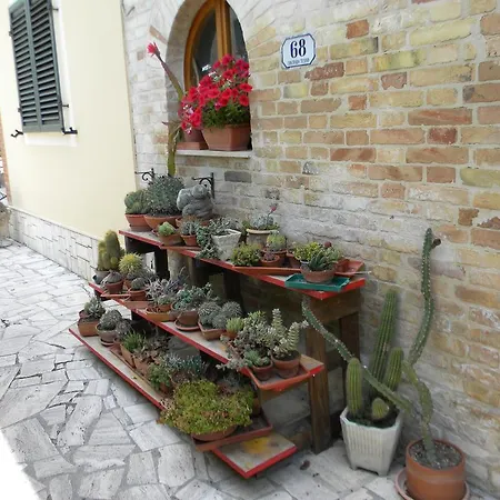 Bed & Breakfast La Casa Di Lucy Offida