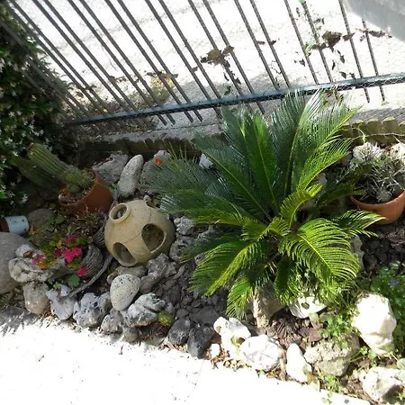 La Casa Di Lucy Bed & Breakfast