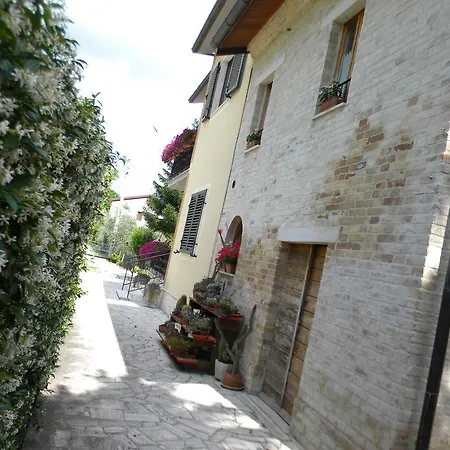 La Casa Di Lucy Offida