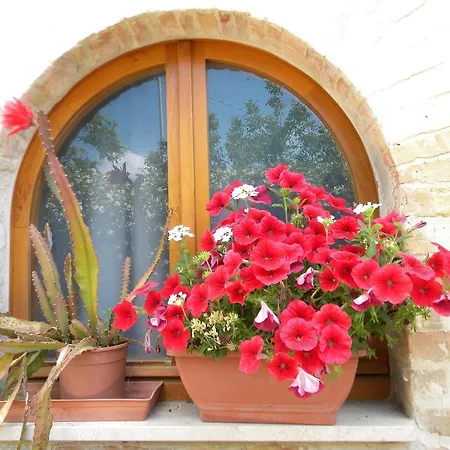 La Casa Di Lucy